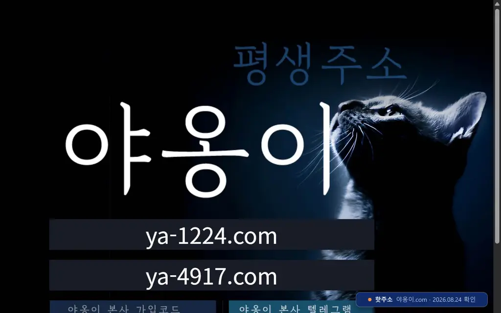 야옹이 접속 화면