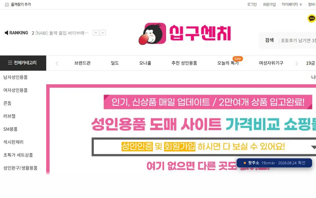 십구센치(19cm.kr) 접속 화면