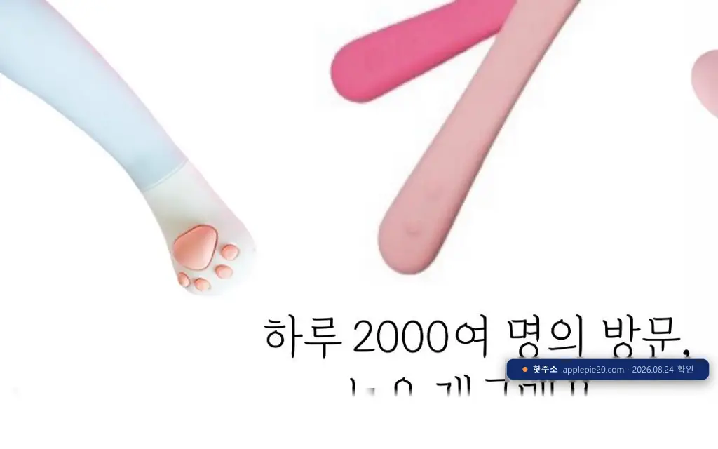 애플파이20(applepie20.com) 접속 화면