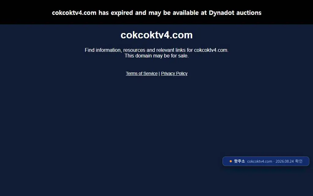 cokcoktv4 접속 화면