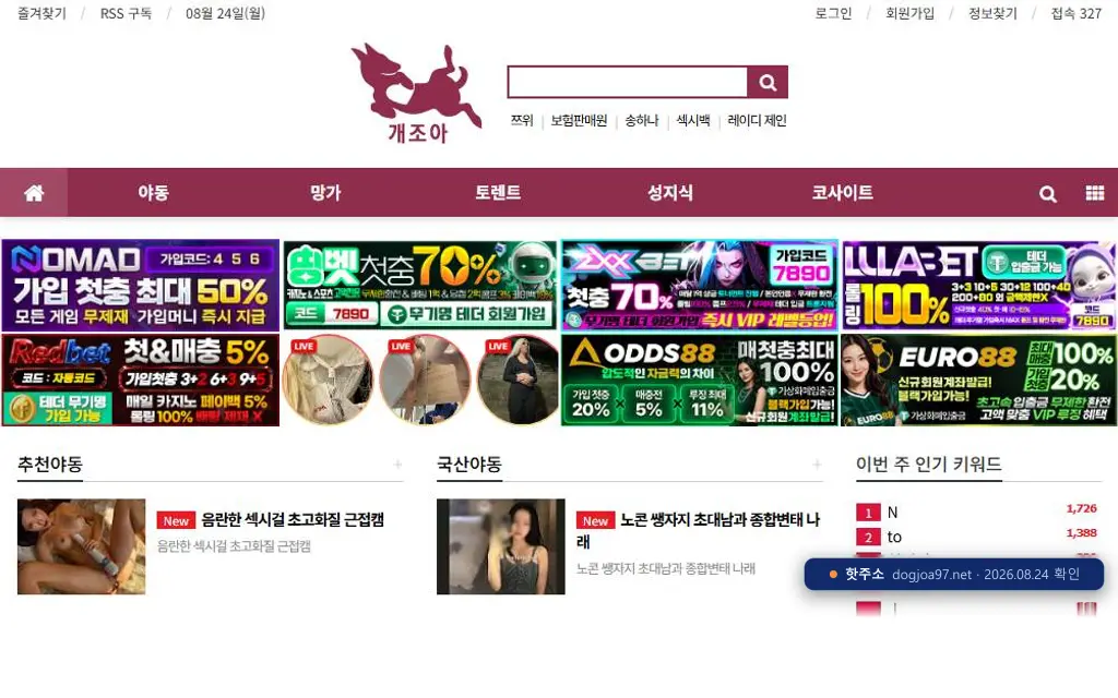 개조아(dogjoa97.net) 접속 화면