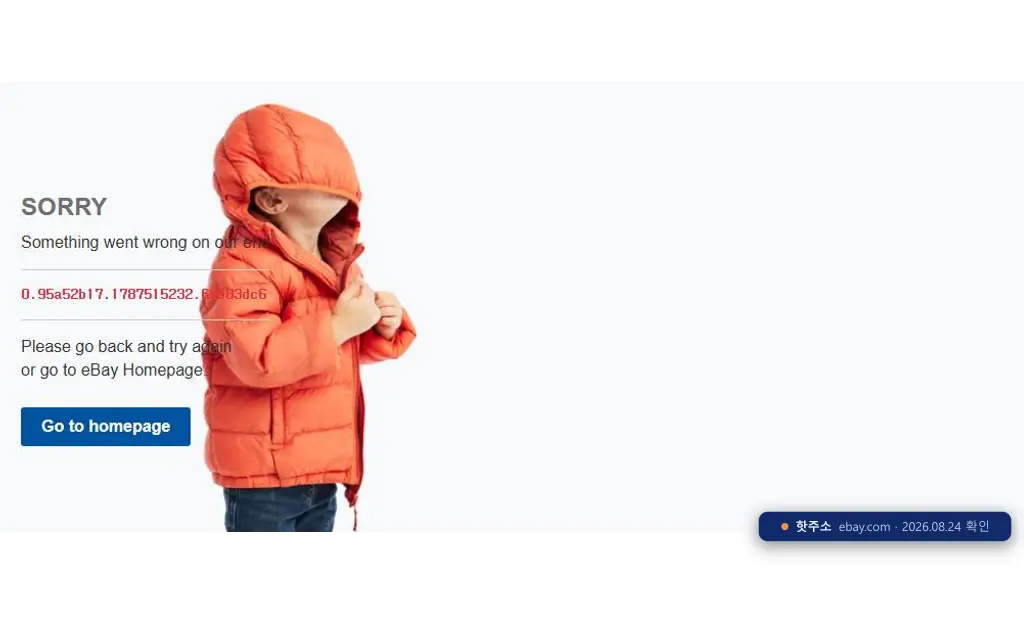 ebay(ebay.com) 접속 화면