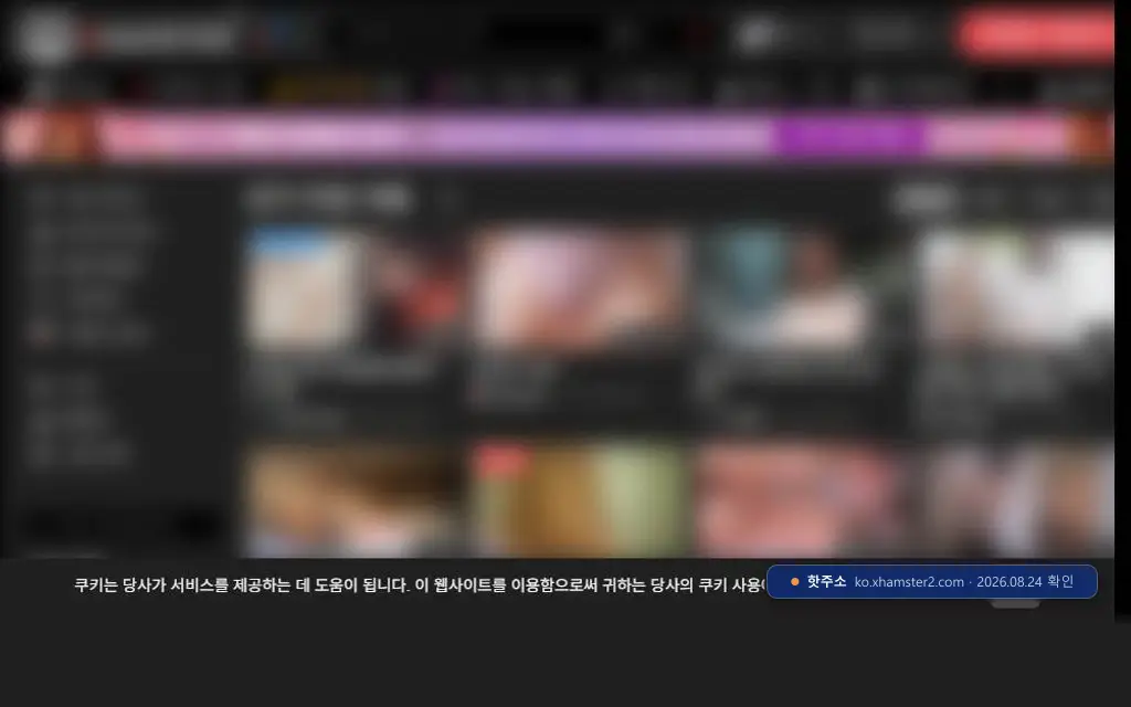 XHAMSTER(ko.xhamster2.com) 접속 화면