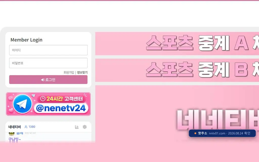 네네티비 접속 화면