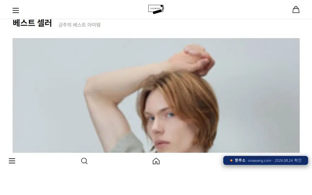 오나왕(onawang.com) 접속 화면